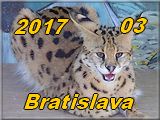 Bratislava 2017